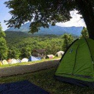 A tent pitched under a tree in a field in the campsite at OK Fest